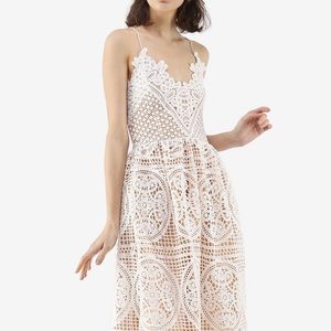 Lace Dress